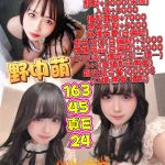 台中定點茶-野中萌