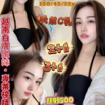 桃園定點茶-頌頌