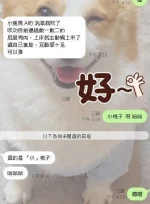 嘉義定點茶-小桃子：圖片 7