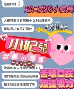 高雄定點茶-小妃兒：圖片 6