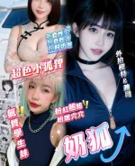 新竹定點茶-奶狐