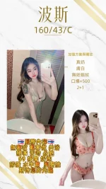 桃園定點茶-波斯