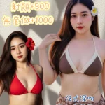 新北定點茶-書雨