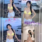 桃園定點茶-小果寶