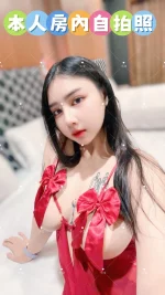 雲林定點茶-小文：圖片 2