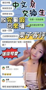 南投定點茶-栗子:圖片 5