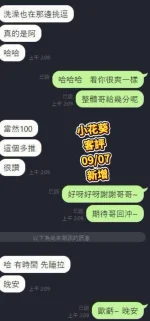 台南定點茶-小花葵：圖片 5