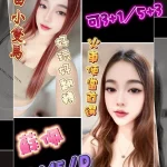 花蓮定點茶-蘇佩