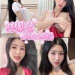 高雄定點茶-林鳳營