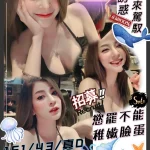 新竹定點茶-海豚