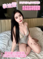 台中定點茶-泰迪熊