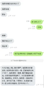 新竹定點茶-海豚：圖片 12