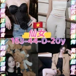 桃園定點茶-仙女