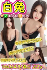 台東定點茶-白兔