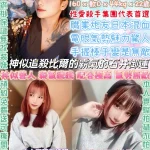 台北定點茶-小混血