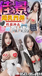 南投定點茶-佳景