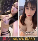 南投定點茶-晨心