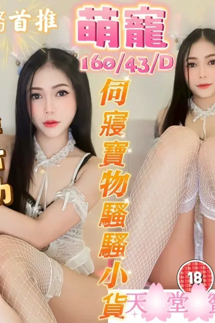 台中定點茶-萌寵