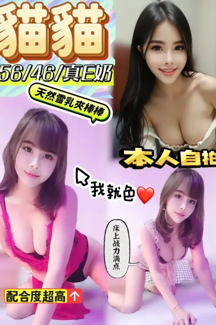 嘉義定點茶-貓貓