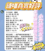 新竹定點茶-糖喵：圖片 3